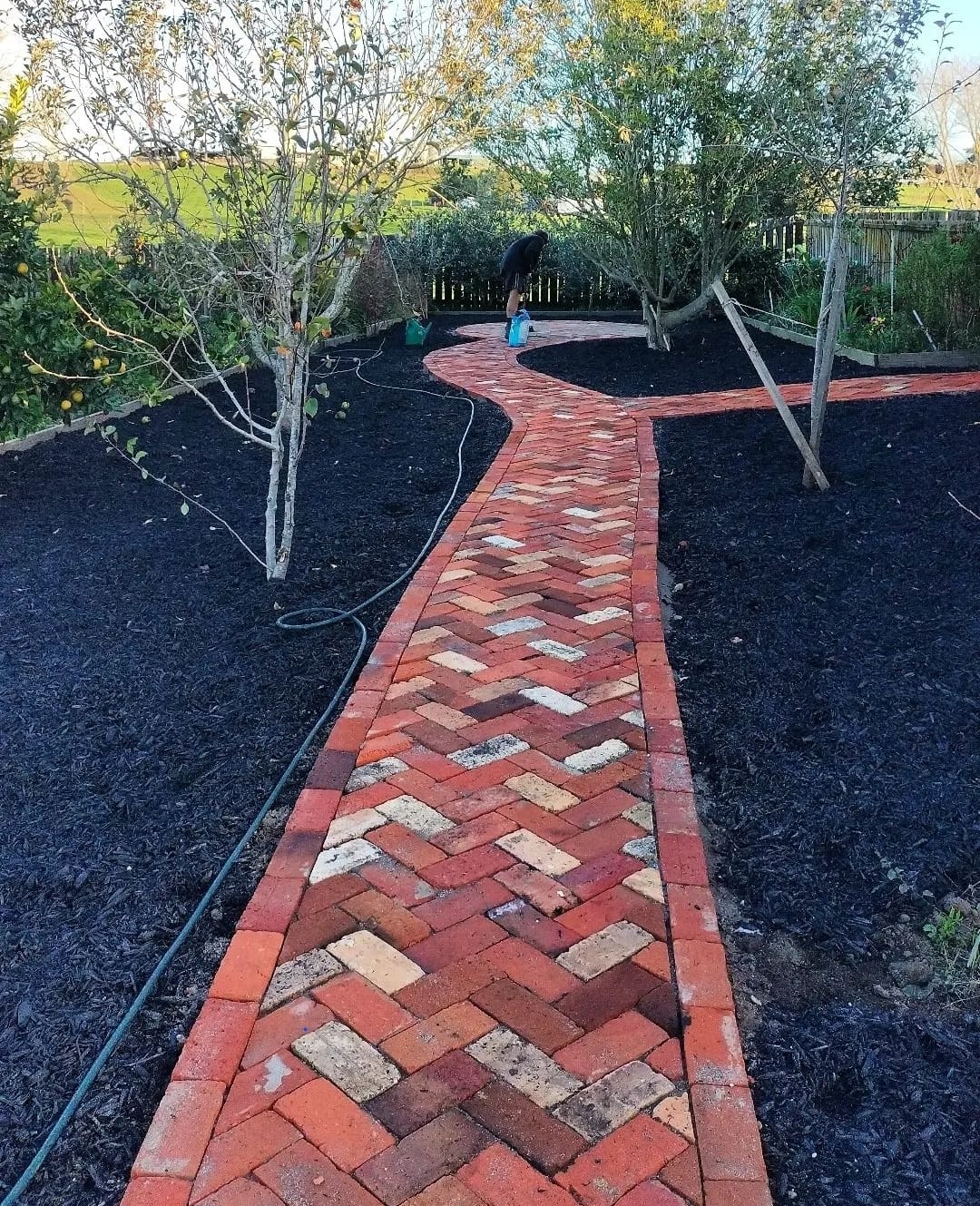 355135929_716137883853661_4474429930445061895_n